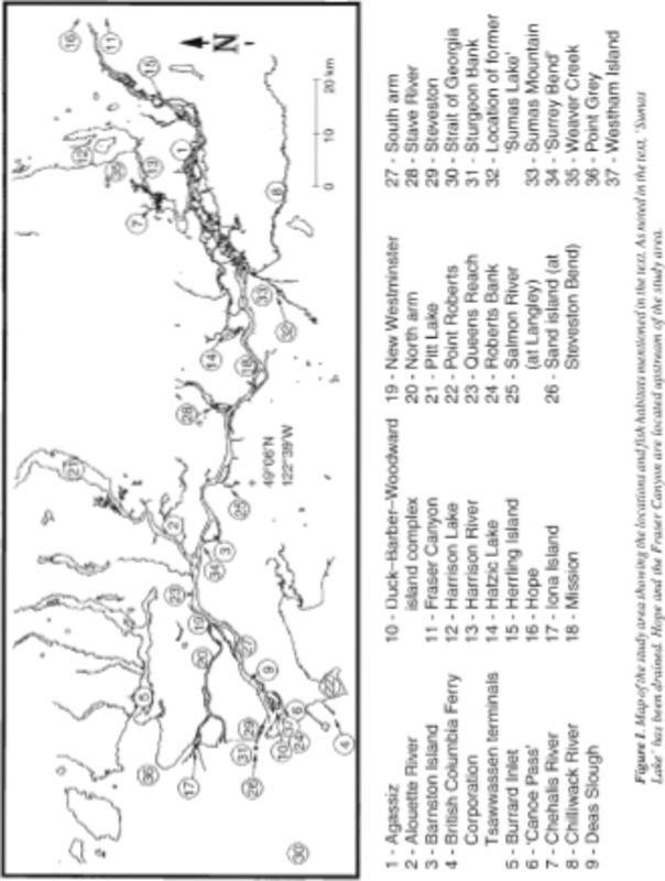 overview