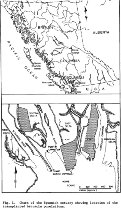 overview